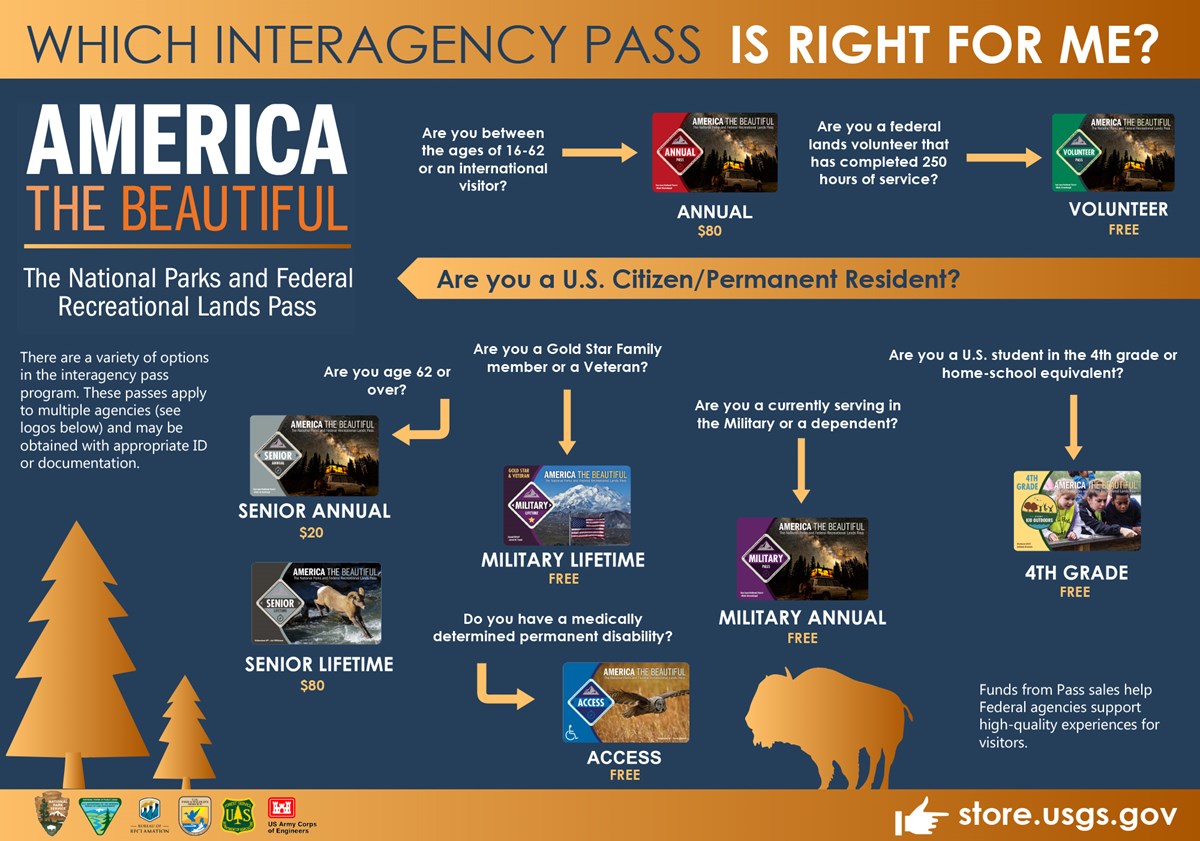 graphic of various entrance passes