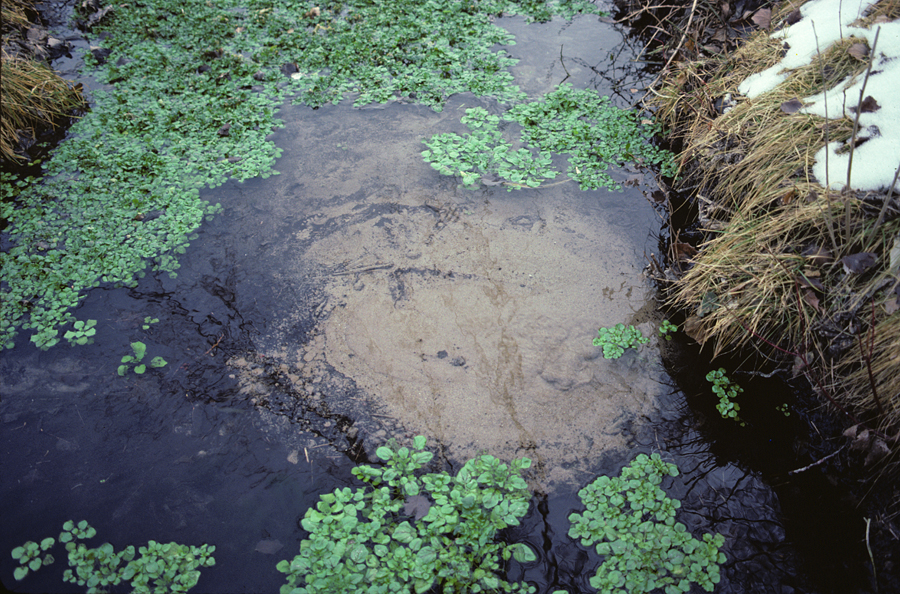 Types of Fens