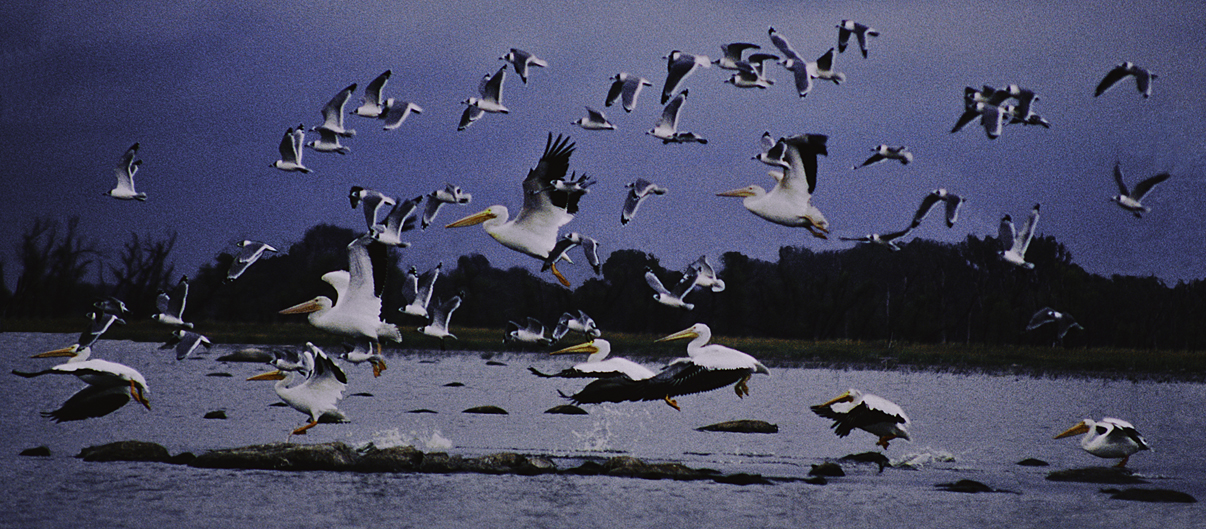 St. Paul District > American Wetlands Month > Fens